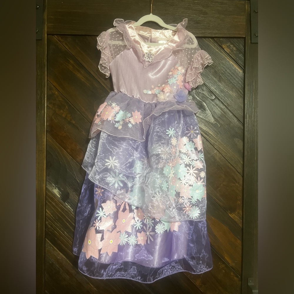 Disney Princess Tiana dress. Bought and worn once at Disney World. Size 5/6